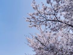 -龙美术馆(西岸馆)