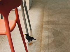 -植物园哈利亚餐厅