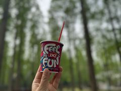 -黄海国家森林公园