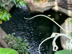 -南山植物园