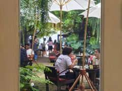 -Fern Forest Cafe
