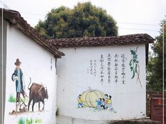 -南丹山森林王国