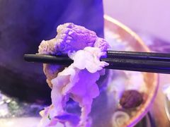 -月圆火锅(宁海东路二店)
