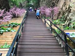 -京东石林峡风景区