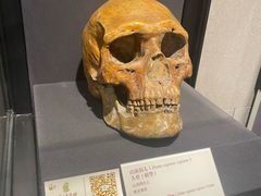 -北京周口店北京人遗址博物馆