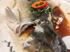 -丰食农家乐
