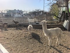 -丽泽山庄·生态怀柔菜·虹鳟鱼(红螺寺店)