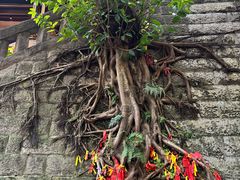 -重庆十八梯传统风貌区