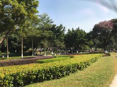 -天河儿童公园