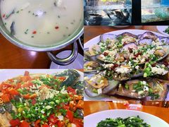 -全乐鱼馆·淳牌有机鱼直营店