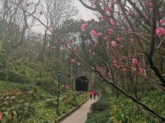 -渣滓洞