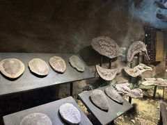 -柳州博物馆