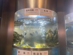-老船舫·现做活鲜鱼馆(东郊记忆店)