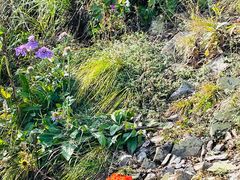 -白草畔自然风景区