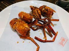 美极罗士虾-猪肉婆私房菜(容桂总店)