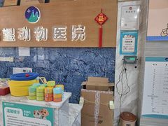 -瑞派名望志远动物医院·猫科·內科·异宠专科(直港大道店)