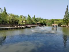 -溱湖国家湿地公园