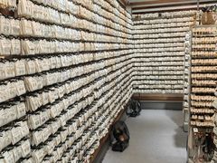 -泰康仰忠精品批发城