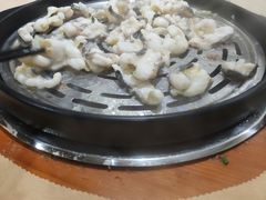 鲟龙鱼-渔乐里(智荟城店)