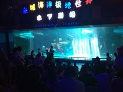 -泉城欧乐堡海洋极地世界