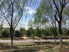 -永定河休闲森林公园