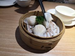 -南枝记