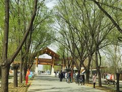 -野鸭湖国家湿地公园