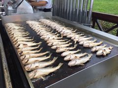 -渔家火锅·海鲜自助餐·演艺(亚龙湾天域酒店)