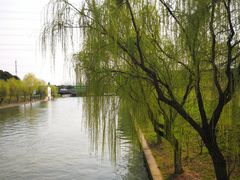 -漕湖湿地公园