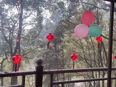 -巴倒烫陆派火锅山庄(南山总店)