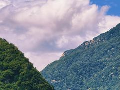 -王顺山国家森林公园