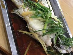 -阿鸟农庄(石壁店)