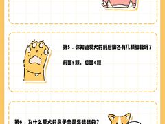 -翊宠yipet猫狗购宠庄园犬舍•猫舍