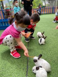 -萌宠亲子动物乐园(槐房万达店)