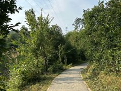 -青龙山国家森林公园