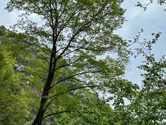 -少华山国家森林公园