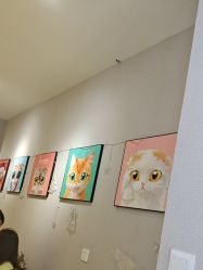 -洗脸猫·洗脸吧