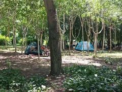 -长春公园(普阳街道)