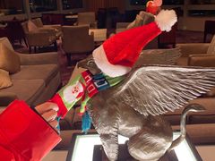 -上海明天广场JW万豪酒店