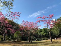 -晓港公园