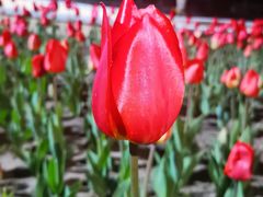 -长春公园(普阳街道)