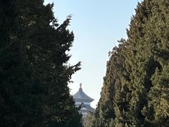 -香满园春饼·家常菜(东大桥店)