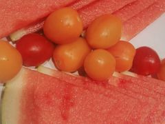 -紫光园·烤鸭·北京菜(劲松店)