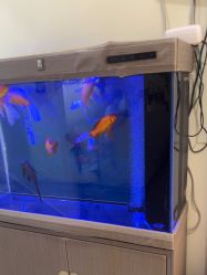 -海涛医疗美容·面部抗衰·注射美鼻