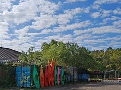 -上海海湾国家森林公园