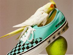 -VANS(三里屯太古里店)