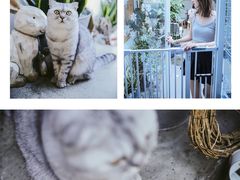 门面-拾壹cafe·工作室