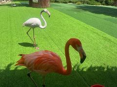 -上海野生动物园