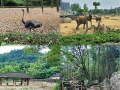 -杭州野生动物世界