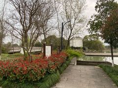 -西溪国家湿地公园